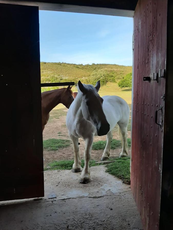 Zeekoegat Historical Homestead ريفيرسديل المظهر الخارجي الصورة